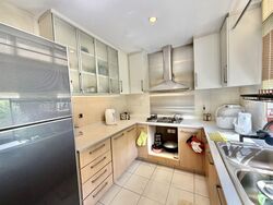 Sims Green (D14), Apartment #553493041